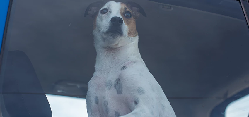 Car Lockout Solutions in Rancho Palos Verdes, California